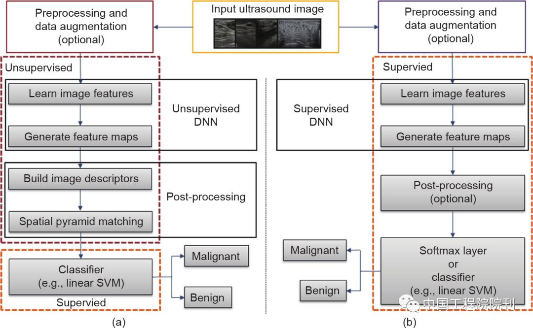 超声图像在医学领域的应用,深度学习和超声成像