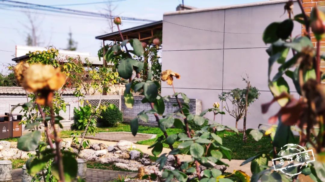 西安曲江南湖里民宿,西安曲江民宿推荐