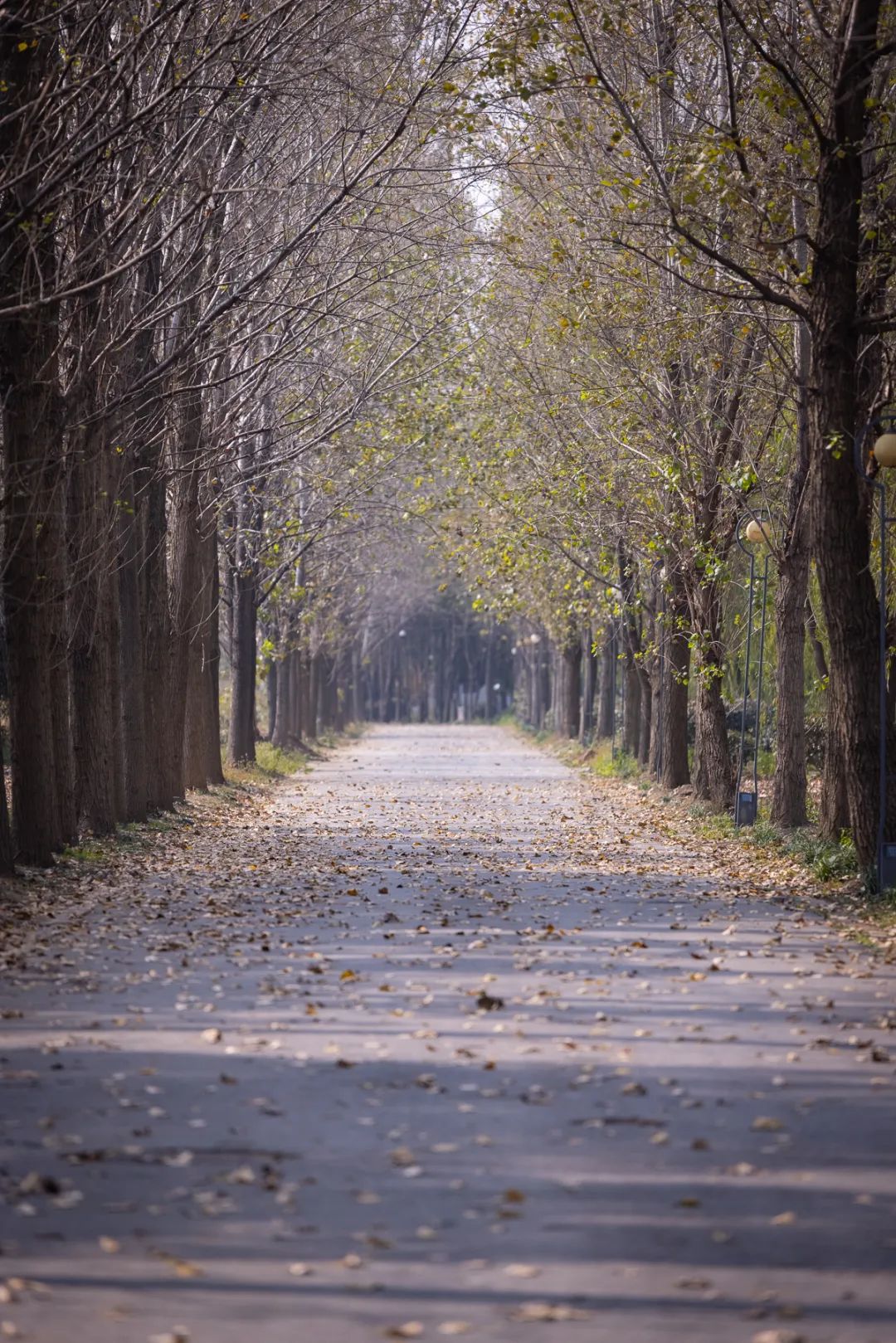 清北现在的情况,清北最新消息
