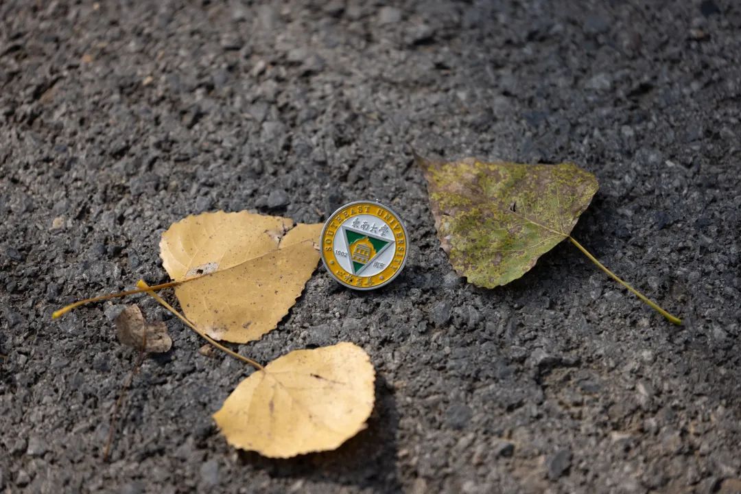 清北现在的情况,清北最新消息