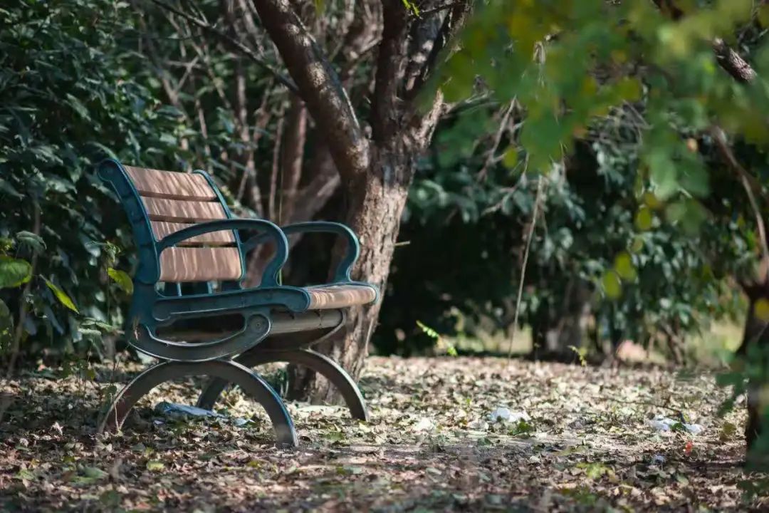 清北现在的情况,清北最新消息