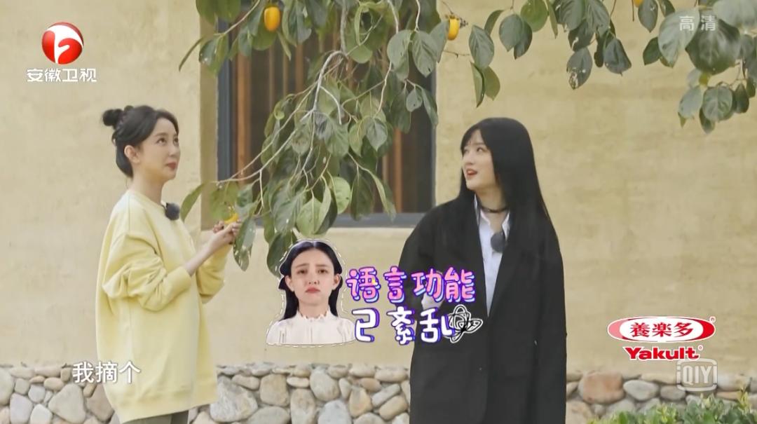 全新升级与回归，《蜜食记6》如何借用美食与友谊诠释爱与真实？