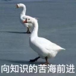 手机常用app的隐藏玩法你知道吗,常用app好用的隐藏功能介绍