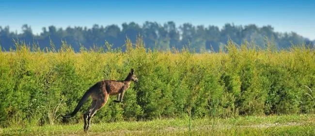 口臭的解决方法胃不好,口臭可能是你的胃出了问题