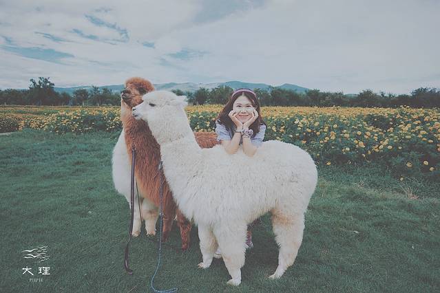 长沙自驾去大理多少钱,生活需要惊喜自驾直奔大理