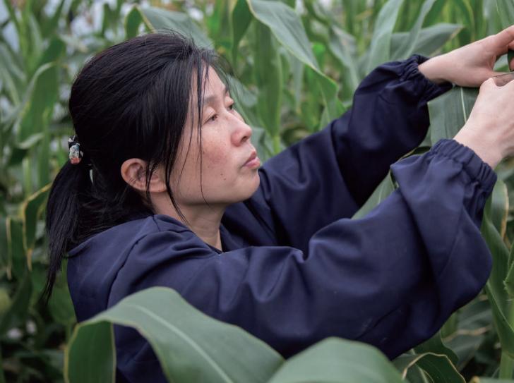 这些受表彰的集体和个人你认识吗,上海有谁受到表彰了