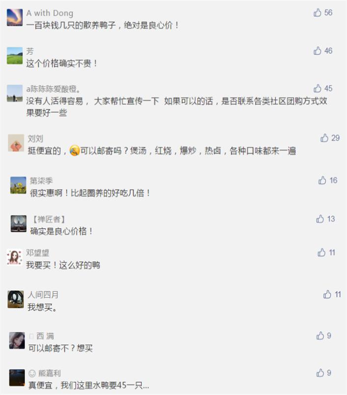 长沙买鸭的地方,长沙买鸭