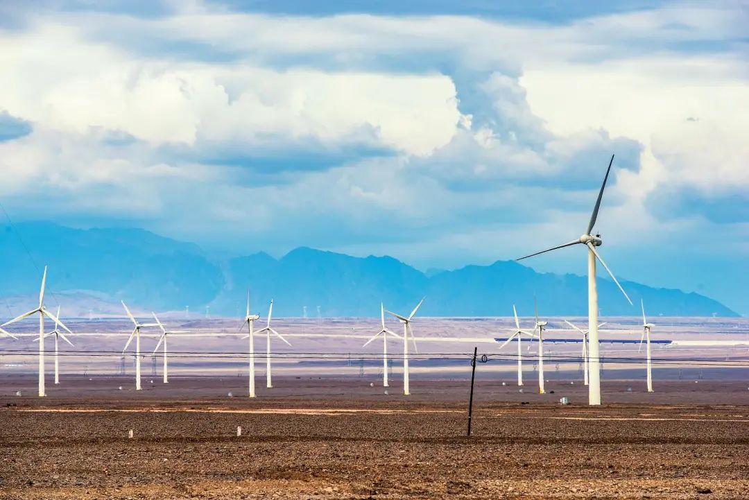 林子大了什么鸟都有下一句是什么,林子大了啥鸟都有讽刺图片