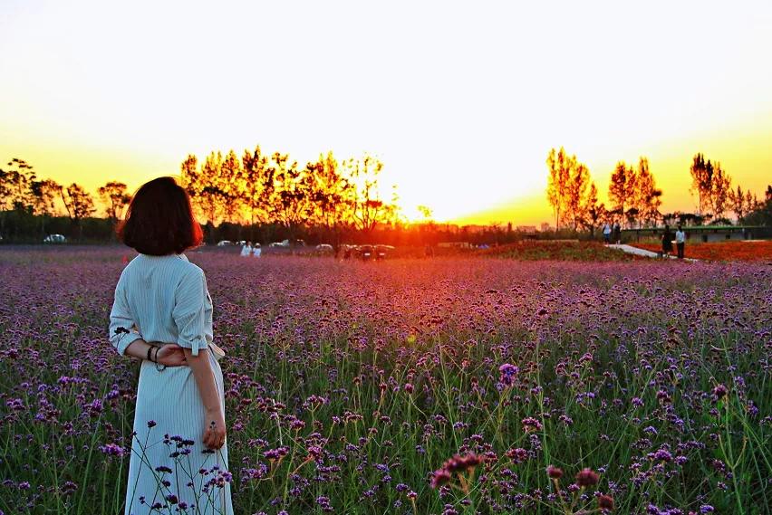 杜邑公园雪景,杜邑遗址公园6月风景