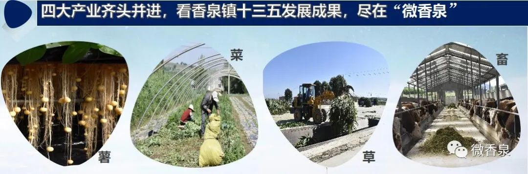 2022年乡镇司法所工作总结,年度乡镇司法行政工作总结