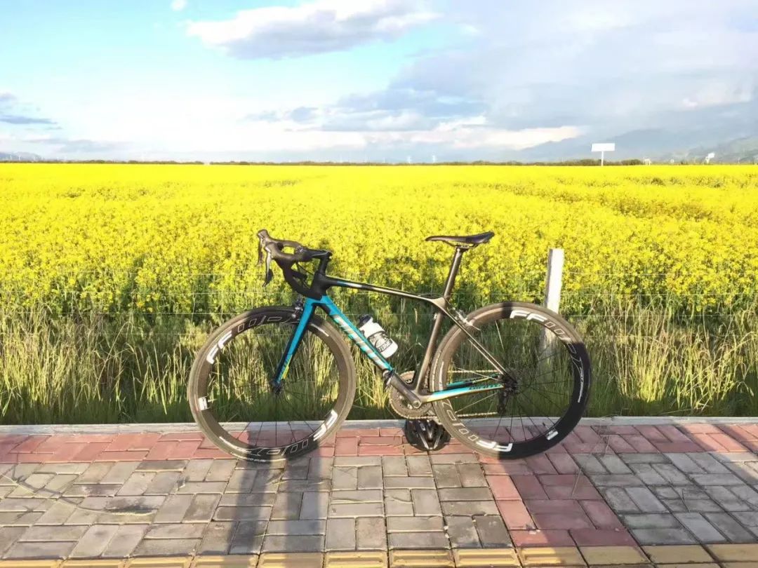 大家都骑什么车公路车,北京车友骑什么公路车