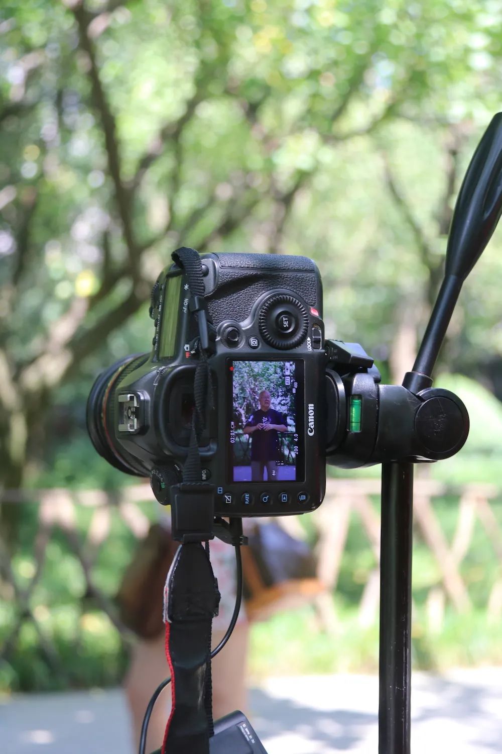 袁庭栋讲麻将全集,袁庭栋讲刘湘之死