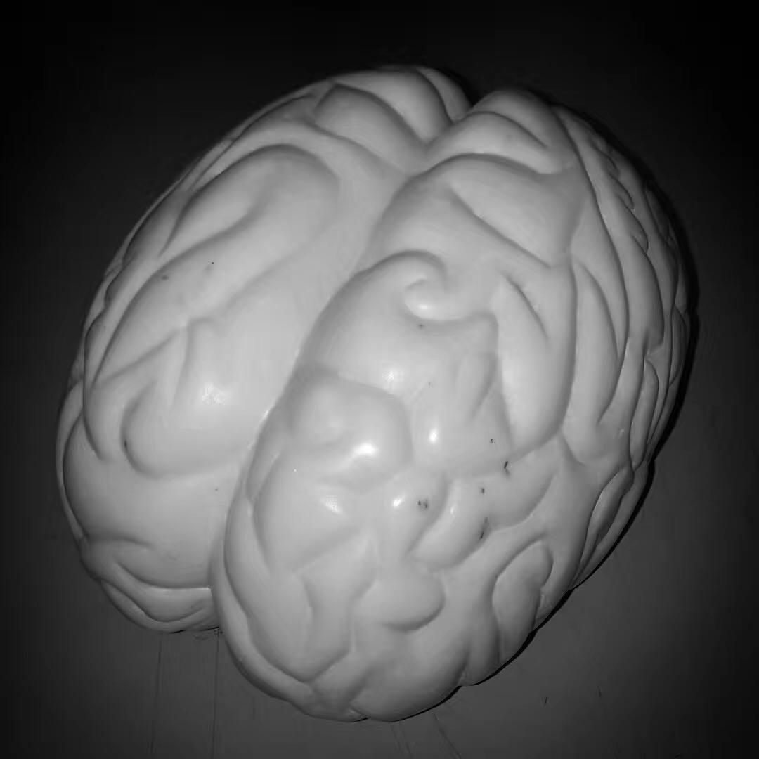 newwave新浪潮作品赛,厦门newwave新浪潮