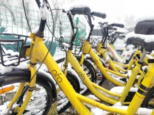 苏宁将全部股权质押给淘宝；小黄车退押金要等988年；苹果可能考虑移除充电线等配件；李佳琦声音商标申请被驳回...