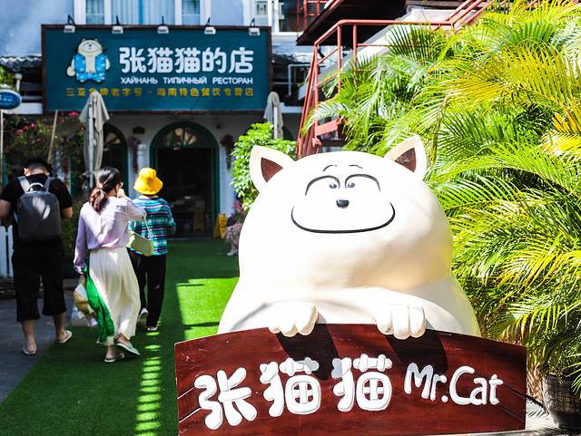 三亚海棠湾希尔顿攻略,三亚湾亚龙湾旅游攻略