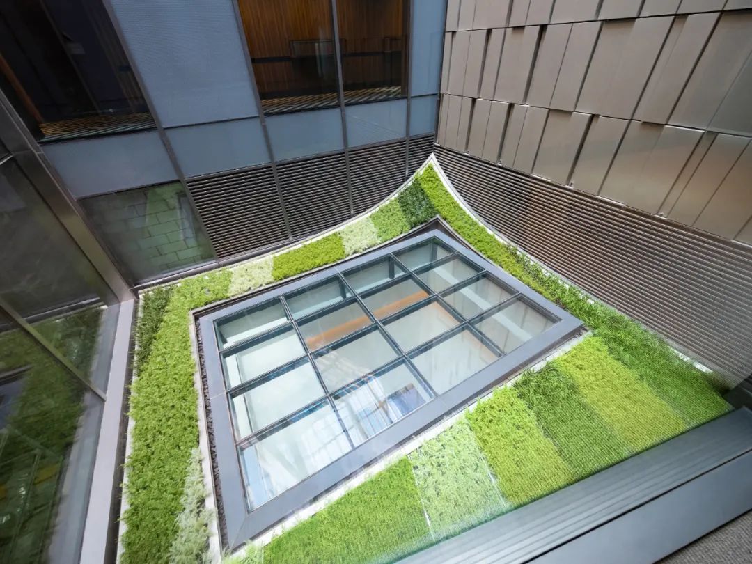 行千里江山，览京室画卷|大兴机场木棉花酒店