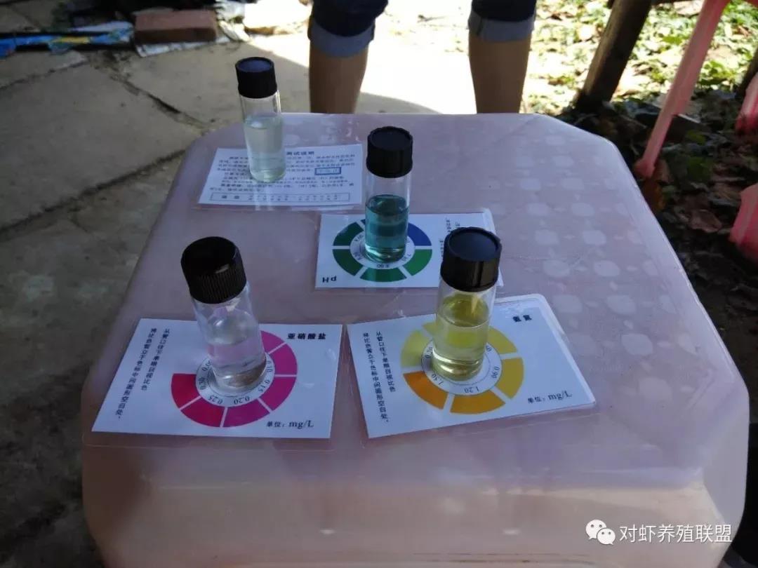 对虾出现肠炎的防治方法,对虾肠炎怎么治疗最好