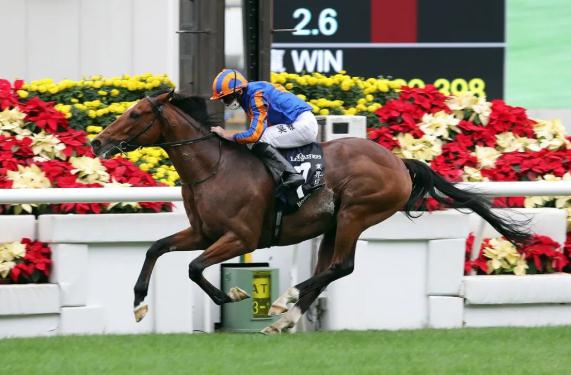 楠戝笀鑾泤,缁濅笘濂藉伐