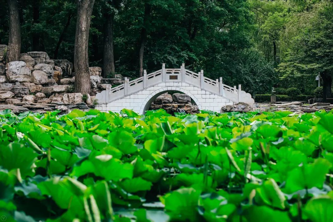 北航2021年各省各专业招生计划,北航2023年各省各专业招生计划