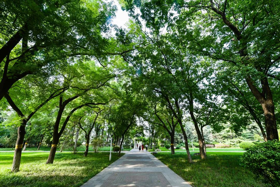 北航，2021年这三项招生简章发布！重要