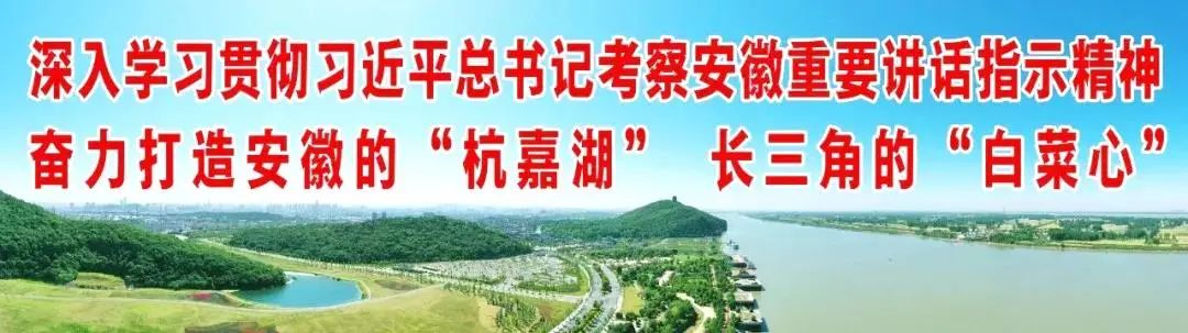 马鞍山十七冶工程资料员招聘,马鞍山十七冶医院2024校园招聘