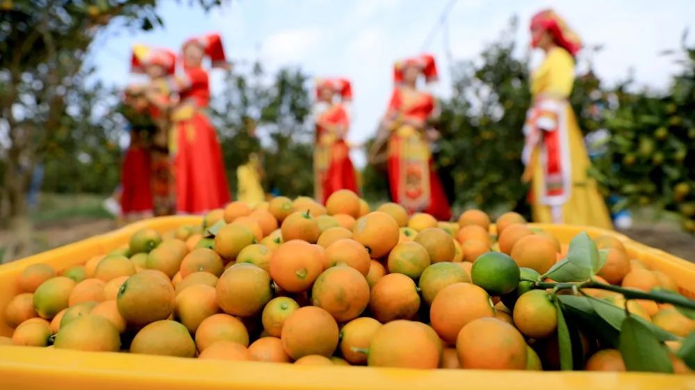 关注融安视频,关注广西柳州融安县