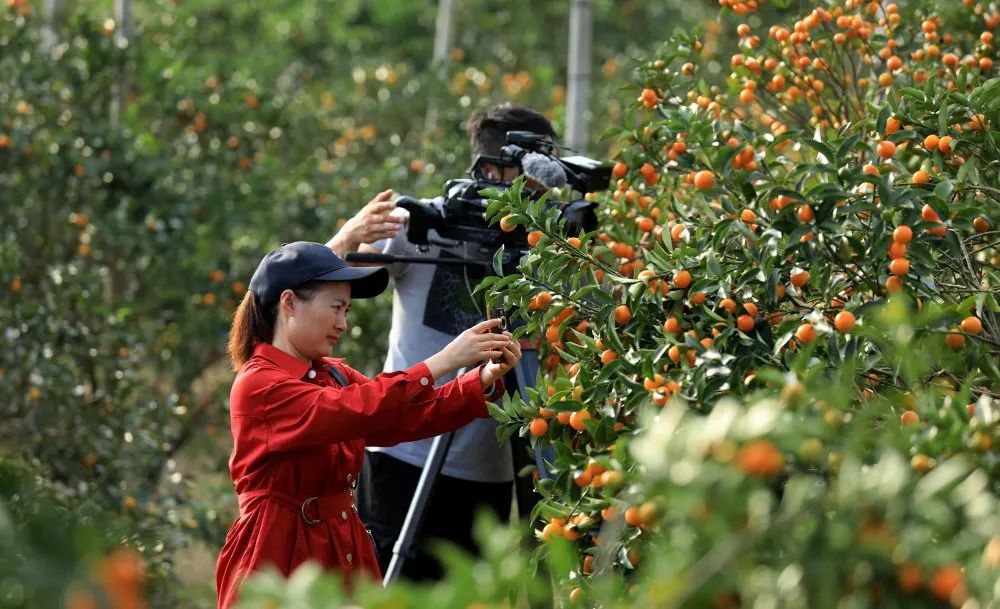 关注融安视频,关注广西柳州融安县