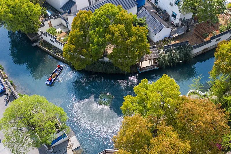 从2020年中央经济工作会议看以习*平近**同志为核心的*党**中央谋划“十四五”开局起步