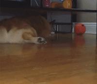 日本“性感小屁屁大赛”，300万网友围观点赞：屁屁虽好，不要贪摸哦