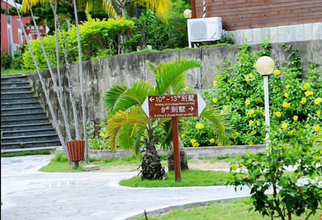 海南海口出发自由行攻略5天,四天三晚海口三亚环岛自驾游攻略