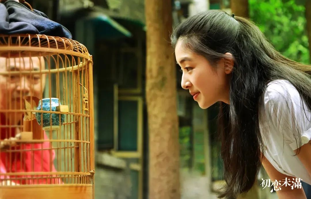 从顶流主持到无人问津,从顶流跌落到低谷