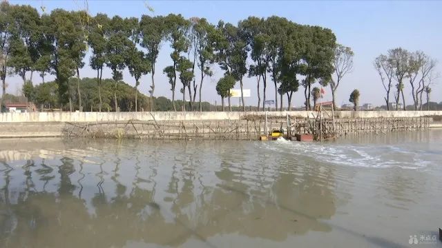 2022年嘉兴市生态环境状况公报,嘉兴市水源地水质全部达标