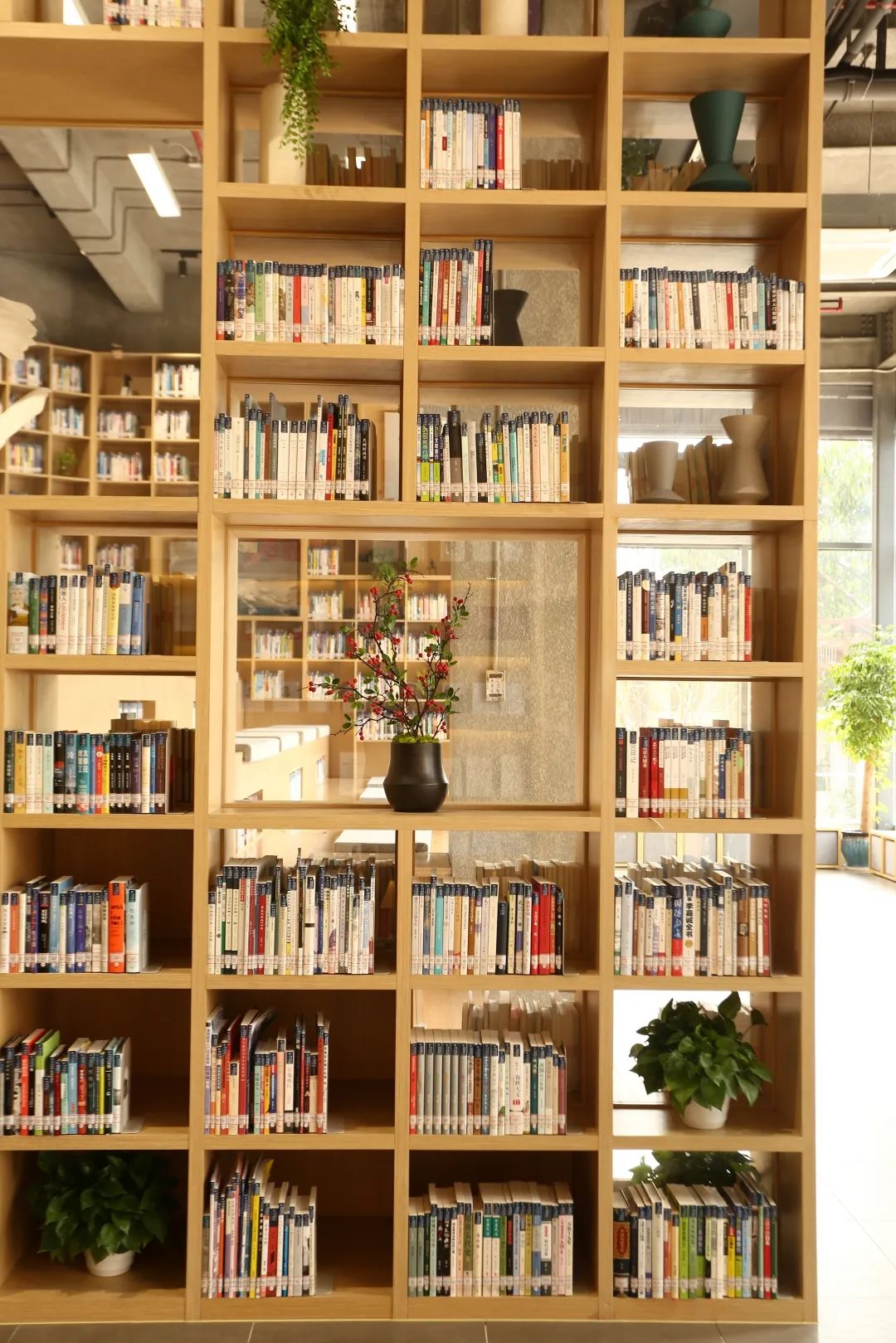 深圳值得打卡拍照的地方10月份,深圳绝美打卡地三月份