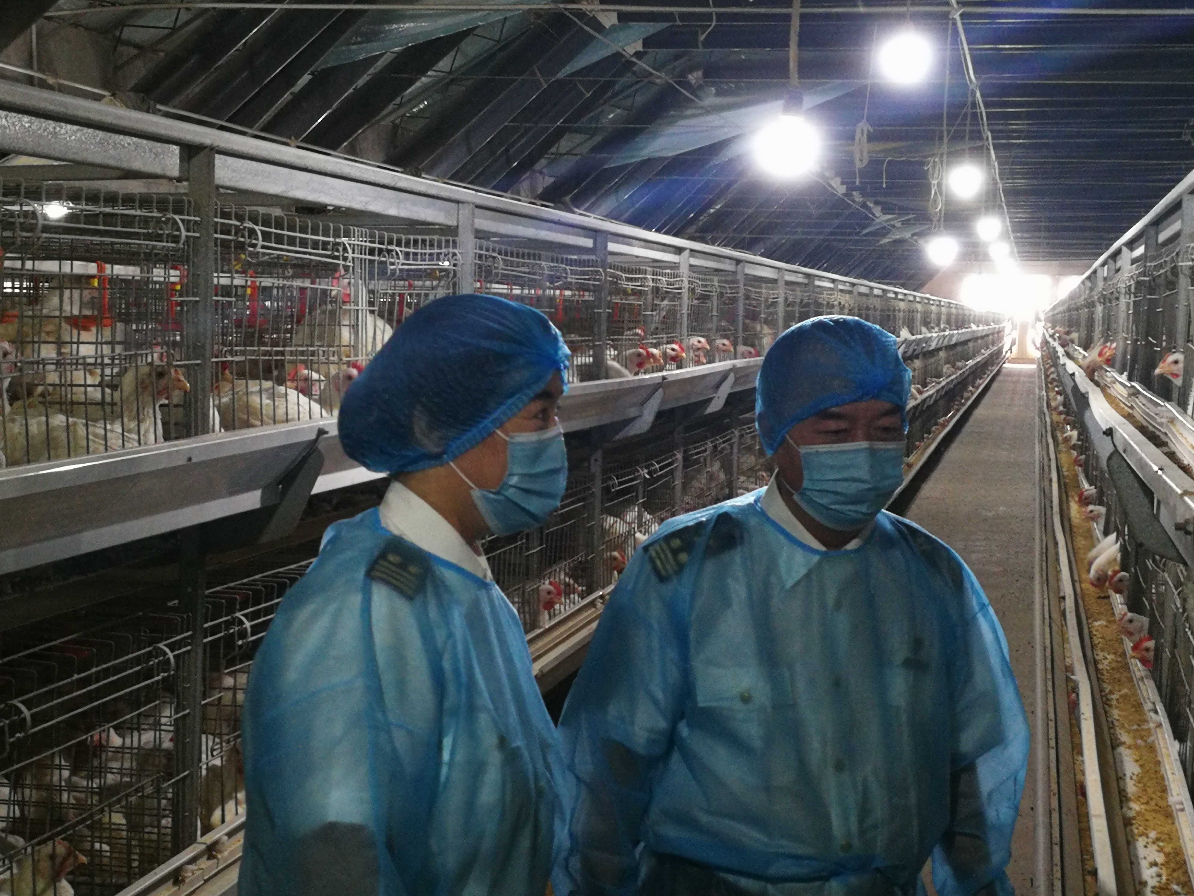 海关稳外贸促发展,优环境促发展