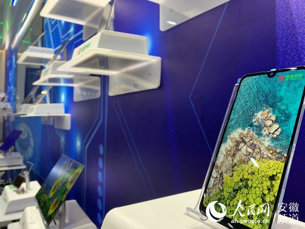 蚌埠市国显科技股份有限公司,蚌埠国显科技是干什么的