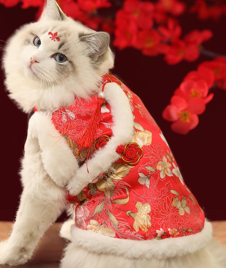 老外看中国奇葩购物,外国人看中国奇葩物品