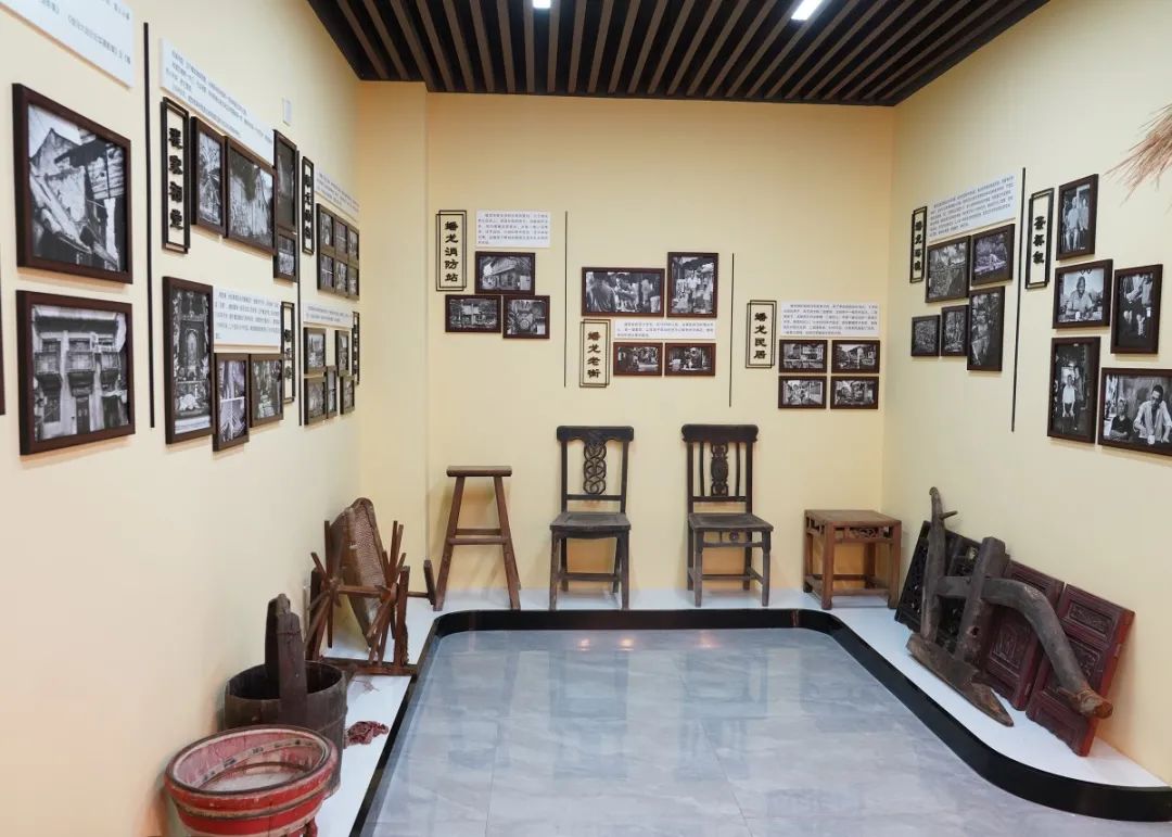 怎样“读懂”蟠龙千年历史，徐泾这所学校“条理清晰”→