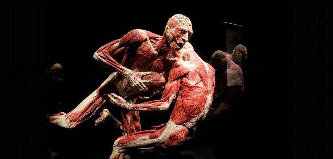 搜索博物馆里的文物,搜索博物馆