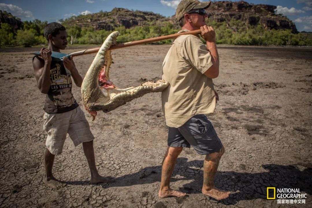 槌勯奔鑱屼笟鐚庝汉,槌勯奔鐚庝汉骞磋柂