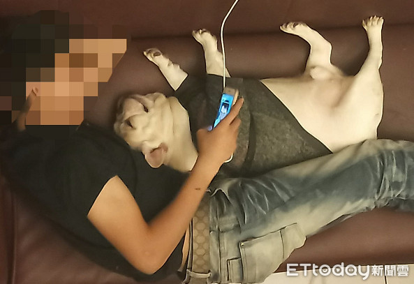 散步到一半躺地甩舌头赖皮！　哥单手扛「17公斤沙包」背影帅炸