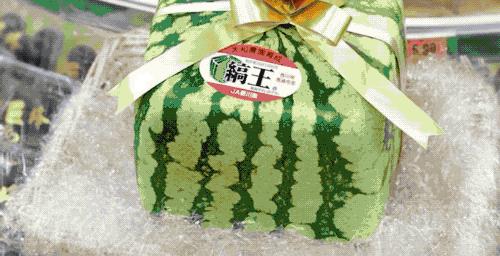 日本人种个葫芦，星巴克咖啡杯就变成了这样