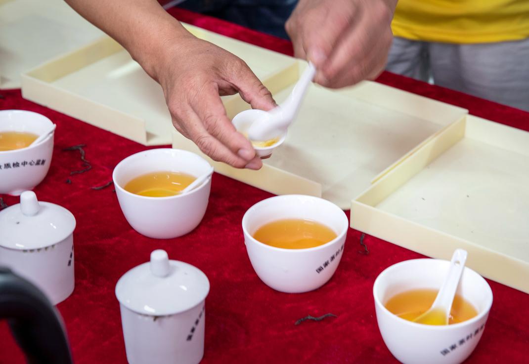 百茶百味|获巴拿马博览会金奖的坦洋工夫，道不尽百年岁月的阵阵茶香