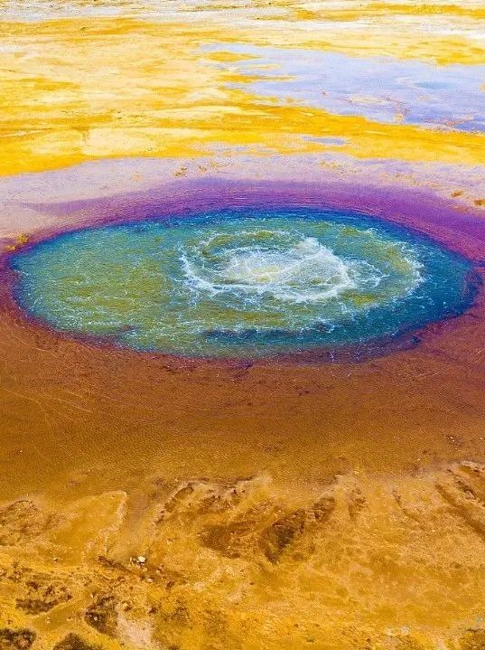 雨水随风润物细无声,随风潜入夜润物细无声老师