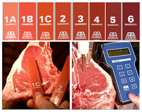 牛的哪些肉更好吃,牛怎么吃也不长肉