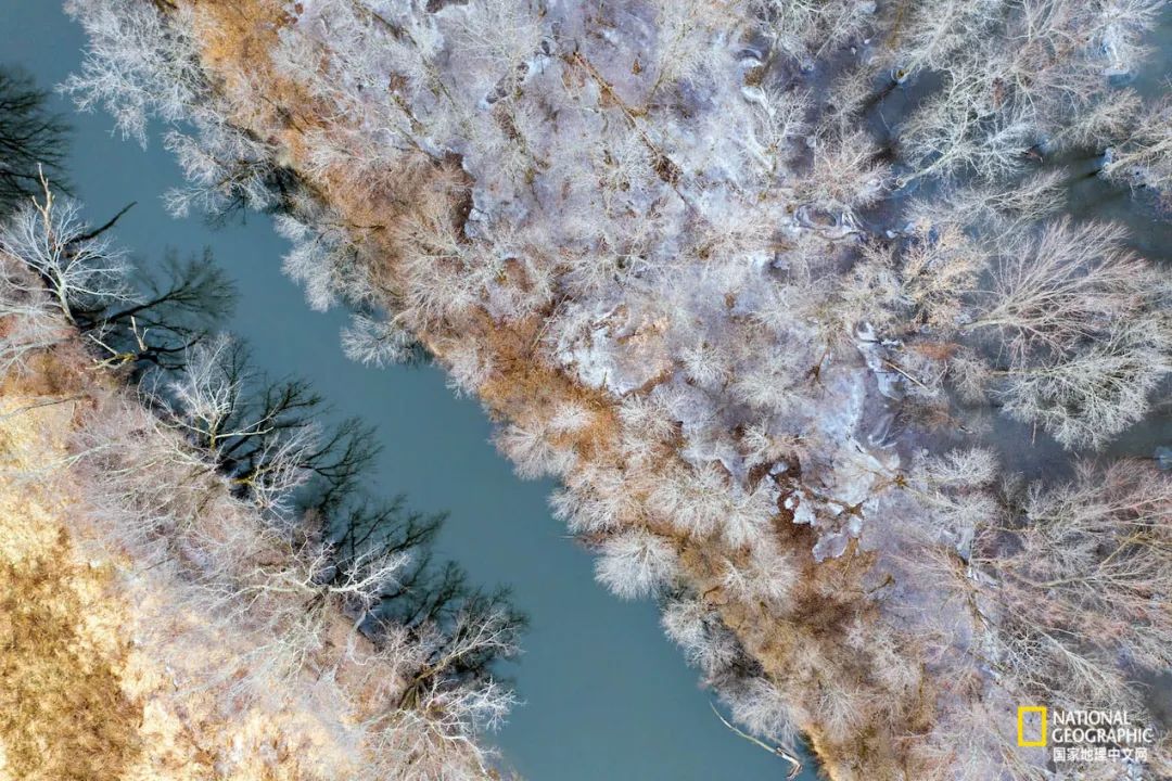 如果你是上帝,现在你是上帝2