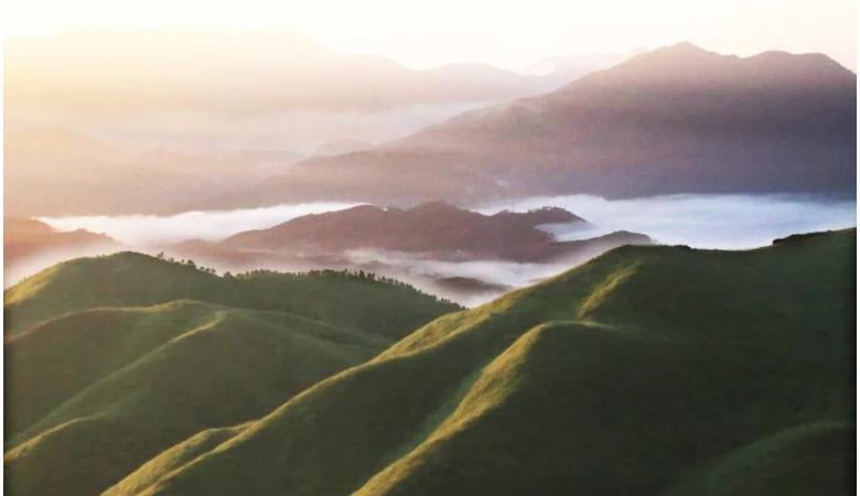 打卡好西乡！桃花胜*光春**，佳人已成双