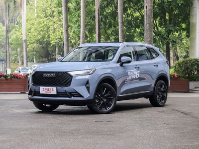 顶配h6体验,顶配哈弗h6试驾