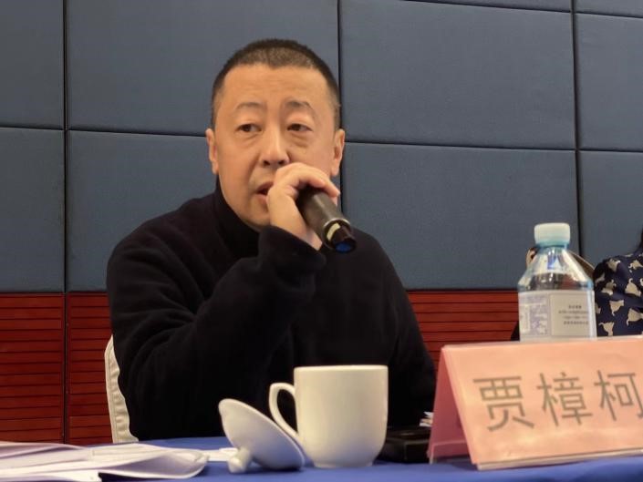 贾樟柯两会,贾樟柯获奖发言