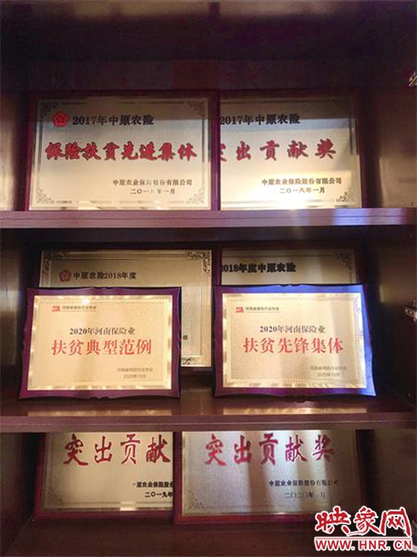 中原农险新模式,中原农险行动