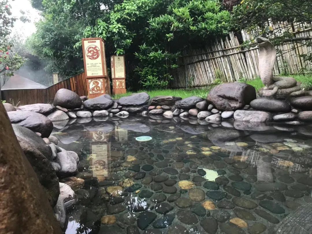 笋之鲜,泉之暖,快来西海温泉体验最纯粹的春日